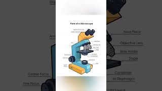 parts of microscope [upl. by Gauntlett]