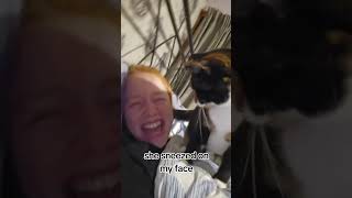 Sneezing cat🤔🤔funnyvideo cat funnycats funny pets funnypetsmoments [upl. by Samuel]