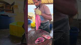 Colourful Skipjack Tuna Fish Cutting Skill By Expert Fish Cutter  Fastest Tuna Fish Cutting [upl. by Sitruk]