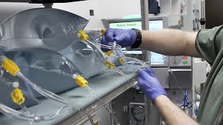 Production of Continuous Hemodialysis Solution Revised [upl. by Eelarbed]