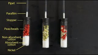 How to Set Up Respirometers [upl. by Nylknarf]