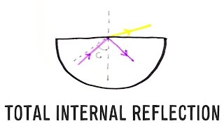 Refraction amp TIR  GCSE Science Required Practical Triple [upl. by Valeta734]