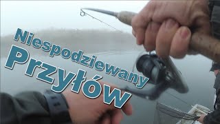 Niespodziewany przyłów [upl. by Swain]