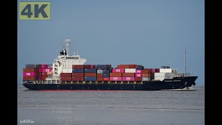 PENANG BRIDGE  Shipspotting Germany 🇩🇪 IMO 9470753  River Elbe near City Otterndorf  4K VIDEO [upl. by Omolhs635]