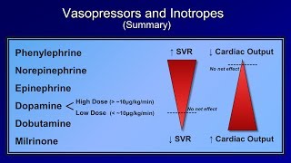 Shock Lesson 5  Pressors [upl. by Arabrab]