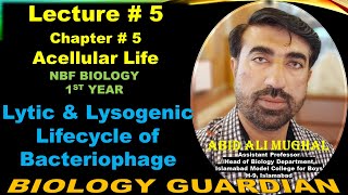 Lytic amp Lysogenic Lifecycle of Bacteriophage  Lecture 5 Ch 5  NBF Biology11  By Abid Ali Mughal [upl. by Aisac645]