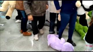 PELUCHES DE COTO TORTUGAS 2017 [upl. by Odnomyar]