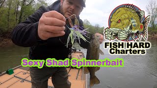 FISHHARD Ep 4  SexyShad Spinner Smallies amp Walleye from the Rock Proof Boat [upl. by Yffub]