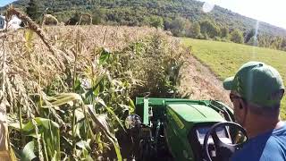 2025R brush hogging the corn field [upl. by Okin]