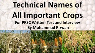 Technical names of All Important Crops  PPSC Test Agriculture Science Water Management Officer [upl. by Huxley]