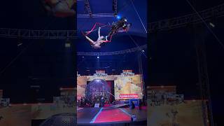 Incredible Motorcycle Stunt at Garden Bros Circus  Enchanting Performance [upl. by Attirb]