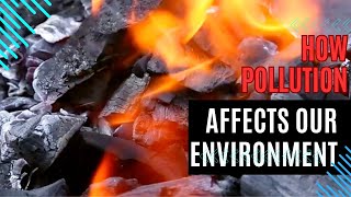 How Pollution Affects Our Environment SUBS [upl. by Heath]