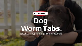 Provide 4Way Protection With Durvet Dog Worm Tabs [upl. by Syck]