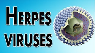 Herpes Symptoms Treatment and Causes [upl. by Asi]