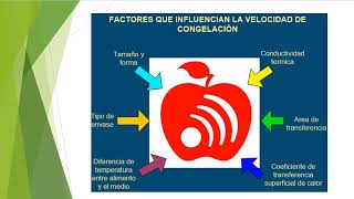 Conservación de Alimentos por Frio Congelación Parte 1 [upl. by Eiramit]