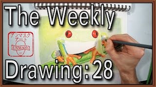 Weekly Drawing 28 Drawing A RedEyed Tree Frog  Photorealistic [upl. by Kenleigh]