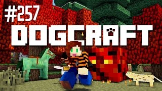 Dog DoSiDo  Dogcraft Ep257 [upl. by Ahsinal]