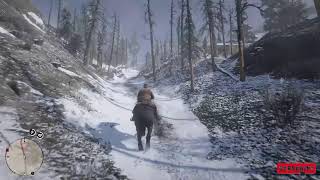 Red Dead Redemption 2 LOW HONOR RUN [upl. by Erot144]