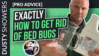 EXACTLY How To To Get Rid Of Bed Bugs Yourself [upl. by Verbenia]