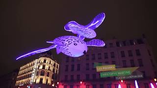 Evènementiel  Lyon  Fête des Lumières  Trophée Récylum des Lumières Durables  PIKOOKS [upl. by Eskil]