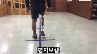 오토복 씨렉 착용 동영상 Ottobock Cleg gait  신세계의수족 [upl. by Navi]