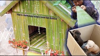 How to Build AMAZING puppydog home using Bamboo [upl. by Fleischer449]