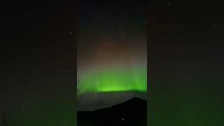 Amazing Aurora Borealis in Davik Bremanger 071124 norwaynature norwaytoday shorts [upl. by Kristy242]