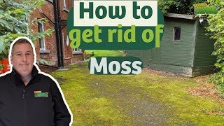 The BEST way to clean moss off a tarmac driveway [upl. by Henghold]