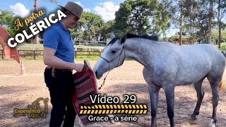 Colocando a Manta na Grace  A Potra Chucra 🐴 Ep 29 [upl. by Hafital]