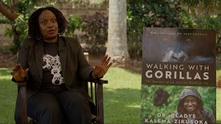 Trailer Interview With National Geographic Explorer And Conservationist Dr Gladys KalemaZikusoka [upl. by Siri]