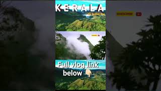 kerala tea gardens 🏡 shorts youtubeshorts shortsfeed kerala keralatourisam [upl. by Hofmann499]