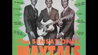 The Toots amp the Maytals  Its No Use [upl. by Revned682]