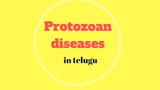 Protozoan diseases in Telugu ZOOLOGY [upl. by Kaycee]