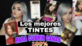 LOS MEJORES TINTES PARA CUBRIR CANAS AL 100 Lizzmuller [upl. by Latsyk]