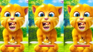 Talking ginger  happy mood  cake cutting time  talkingcat  talkingtom [upl. by Estrin459]