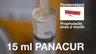 Prophylactic PANACUR one a month [upl. by Assenej931]