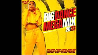 Big Dance Megamix 2023 [upl. by Gnos]