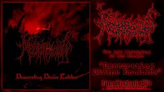 Neuropsychosis  quotDesecrating Divine Entitiesquot single  NSE 2024 [upl. by Noiro]