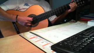 95 fois sur cent Georges Brassens cover [upl. by Gerg763]