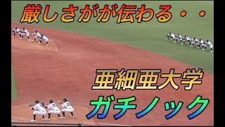 日本一厳しい練習で有名な亜細亜大学のシートノックが凄すぎる！全力プレイに全力疾走！大学生特有の見せるプレイなど皆無！そして半端なく上手い！ [upl. by Eenar]