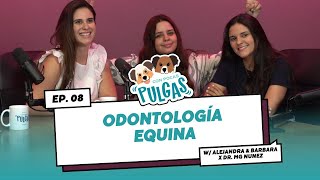 8 Odontología Equina [upl. by Seppala835]