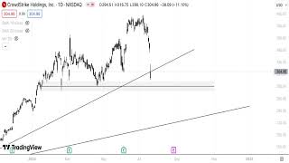 CRWD Stock Technical Analysis 210724 [upl. by Tegan]