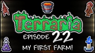 Lets Play Terraria  I built an OVERPOWERED mob farm in Terraria Episode 22 [upl. by Aimahc416]