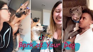 Bark at Your Dog Challenge 😂 TikTok Compilation 2023 1 [upl. by Annodas]