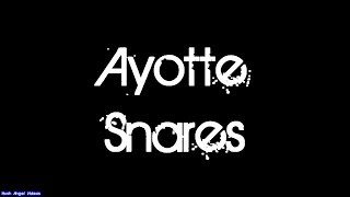 Ayotte Snare Drums [upl. by Aihsikal]