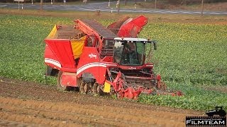 Grimme Maxtron 620 Rübenroder rodet Rüben in der Abenddämmerung Rüben roden 2013 [upl. by Ribaudo]