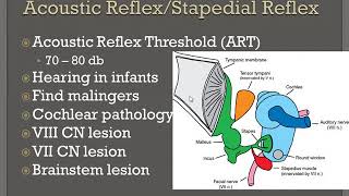 Acoustic Reflex  Stapedial Reflex in UrduHindi [upl. by Marianne723]