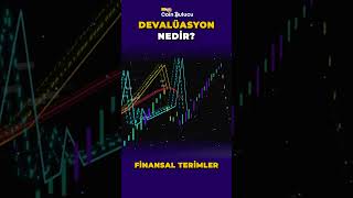 Devalüasyon nedir  Finansal Terimler shorts [upl. by Wylma]