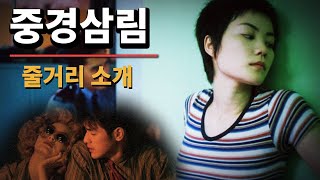 영화 중경삼림 Chungking Express 1994  줄거리 소개  눈감고 듣는 영화  왕가위 감독 [upl. by Eniamreg]