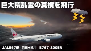 巨大積乱雲の真横をフライト JAL557便 羽田→旭川 B767300ER JA655J [upl. by Oflodor]